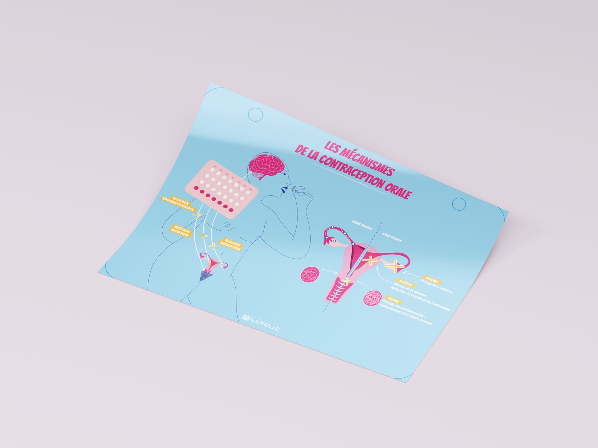 page explicative de la pillule contraceptive