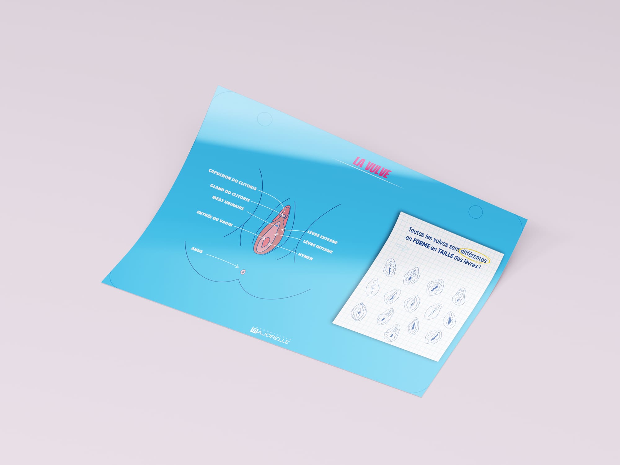 page explicative de l'anatomie féminine